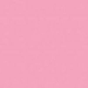 Meet your Posher, Lee